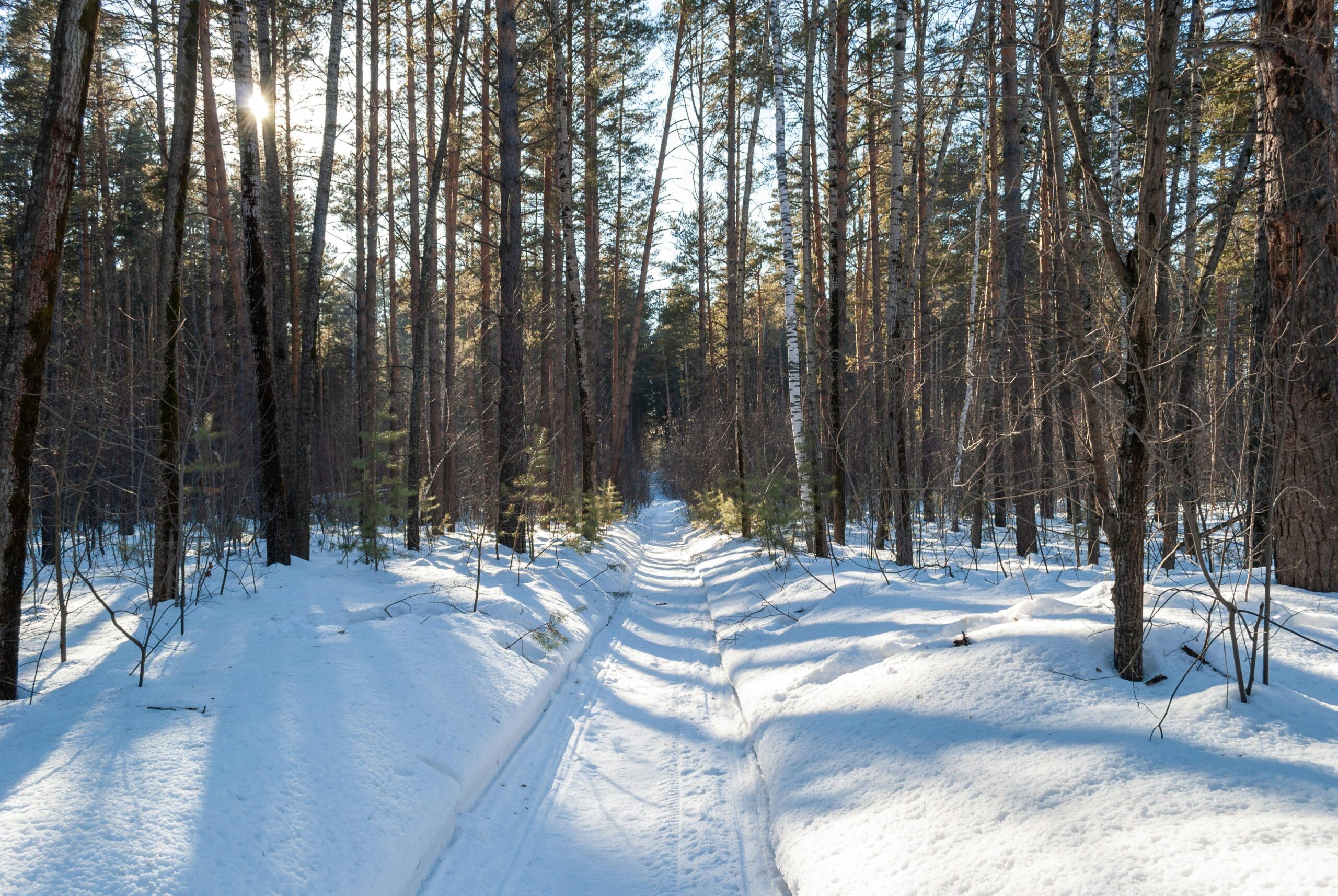 Across Borders, Beyond Limits